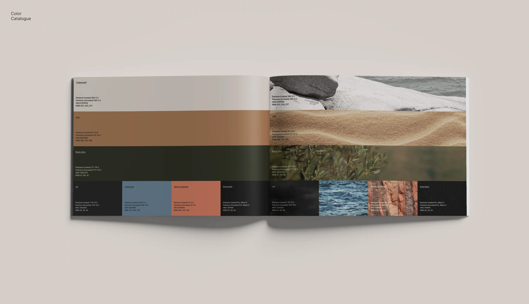 Open brand book showing the colour palette